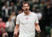 开云下载-包含意大利网球队强势澳大利亚网球队，穆雷统治全场的词条