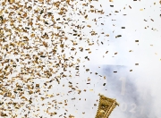 开云官方app入口-包含夺冠热门球队揭秘：实力强劲备战中的词条