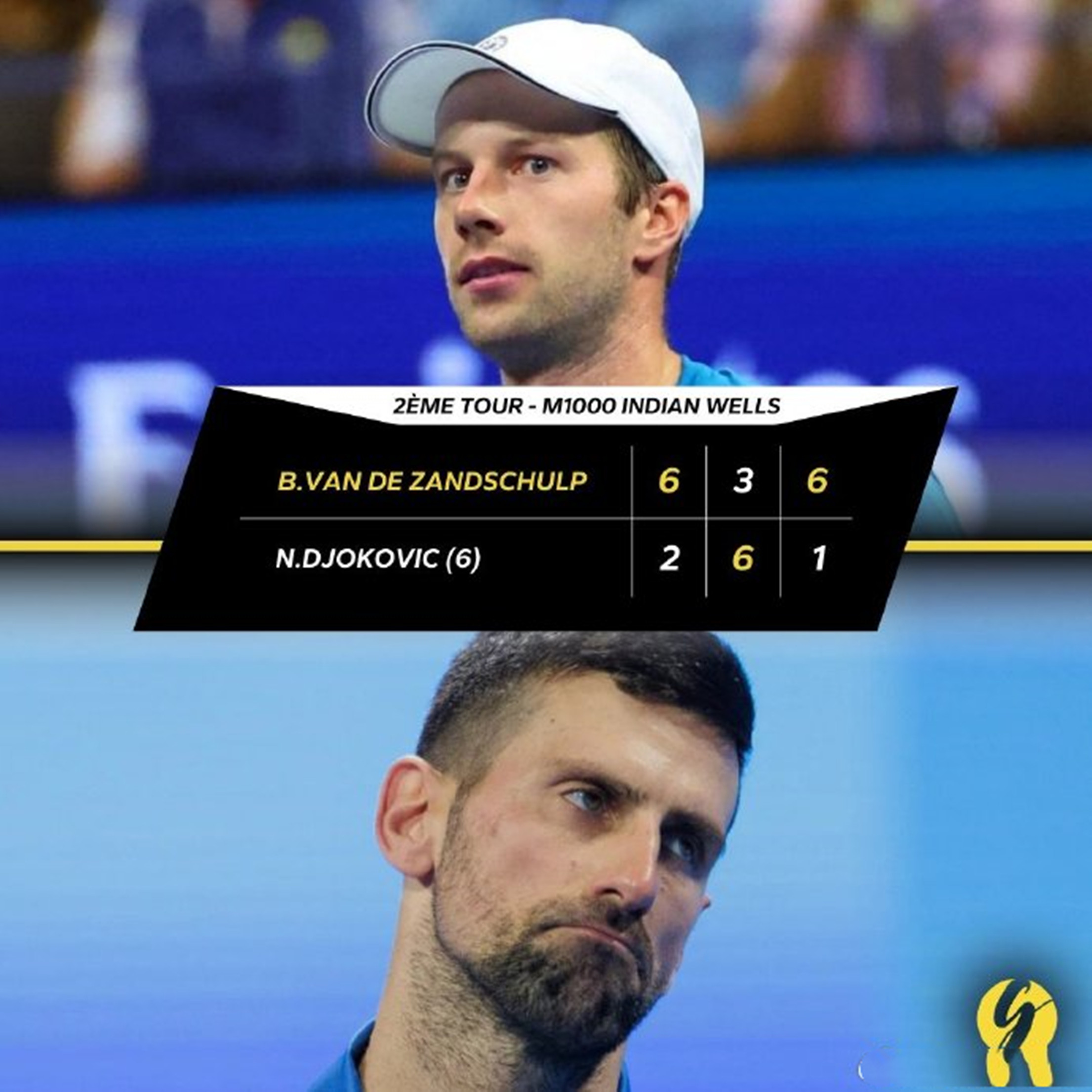 德国网球队爆冷日本网球队，德约科维奇送出助攻的简单介绍