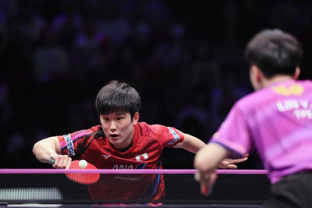 包含法国乒乓球队横扫瑞典乒乓球队，张本智和高光表现的词条