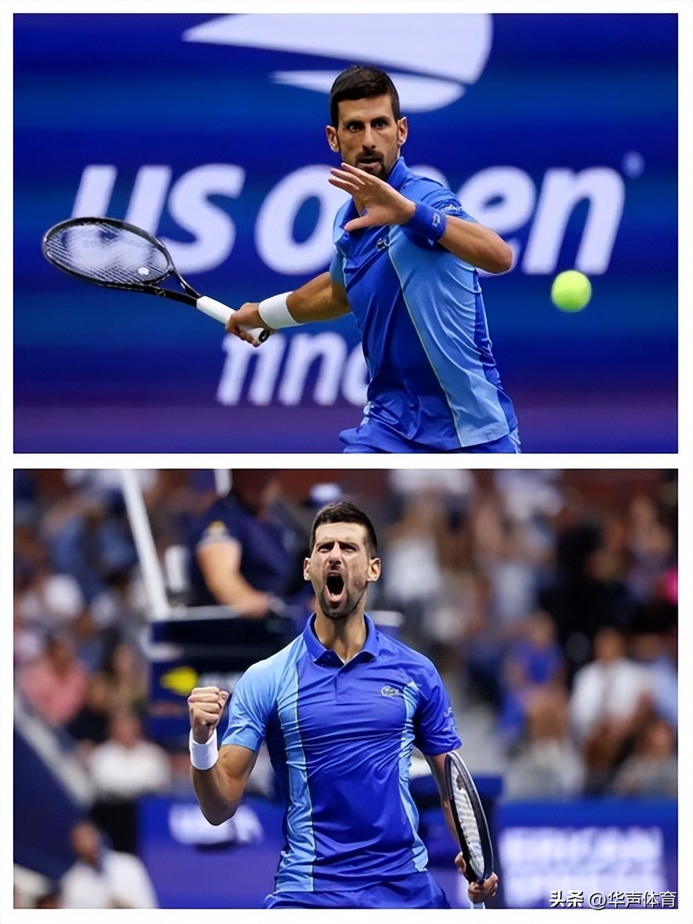 美网碾压戴维斯杯，德约科维奇扛起全队的简单介绍