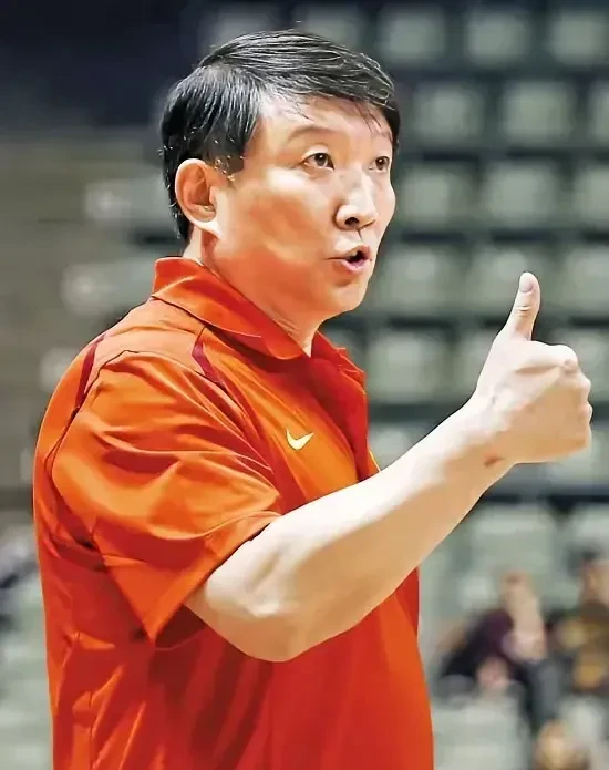 奥地利队绝杀瑞典队，林高远关键制胜的简单介绍