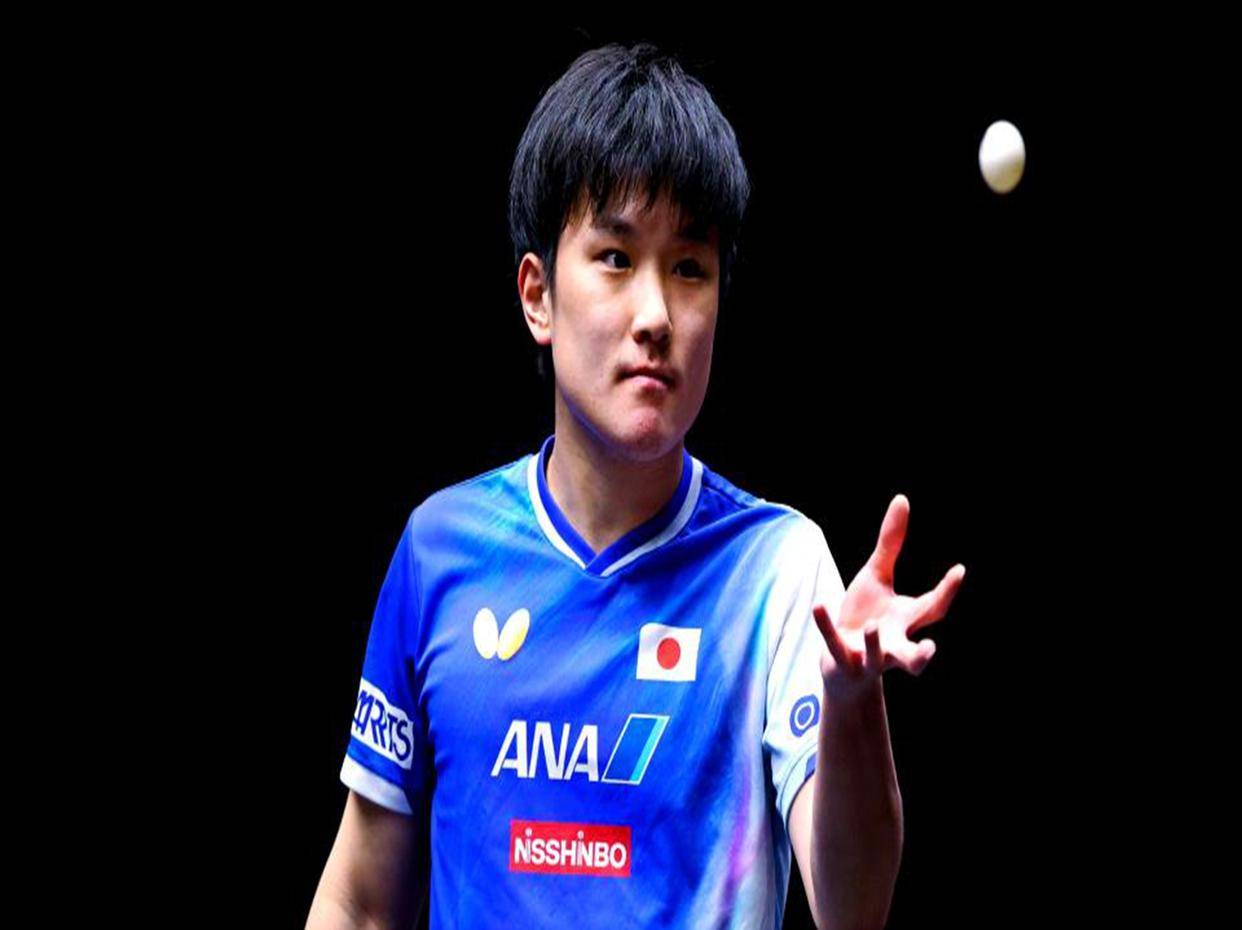 包含葡萄牙队碾压法国队，张本智和点燃赛场的词条